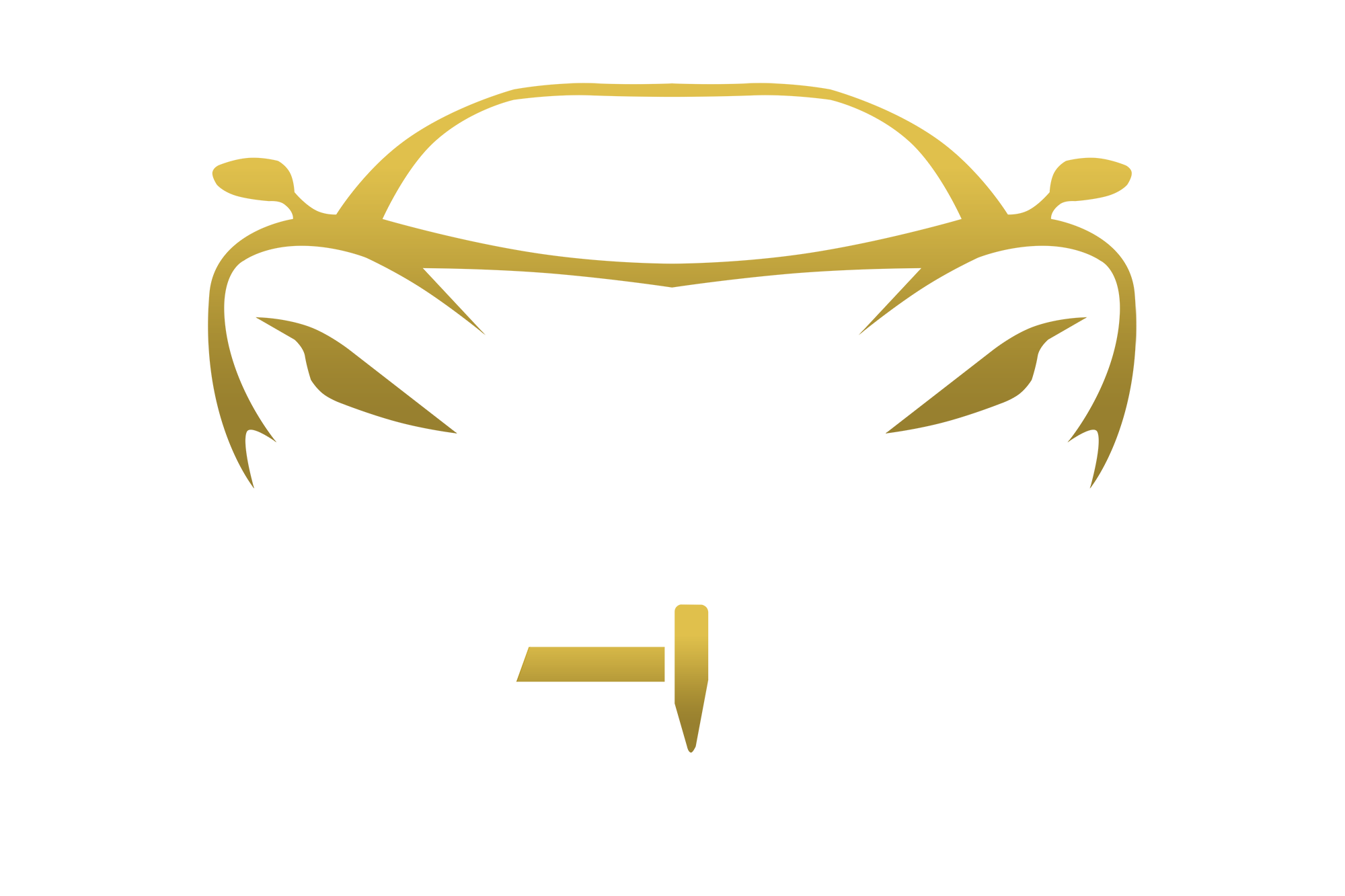 VADO MARTELINHO DE OURO - A arte de desamassar o carro sem danificar a pintura original - Umuarama / PR